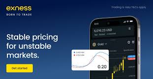 Comprehensive Guide to Forex Exness Elevate Your Trading Game